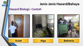 Jenis-Jenis Hazard/Bahaya
Kulat Alga Bakteria
 