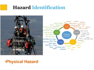 Hazard Identification
•Physical Hazard
 