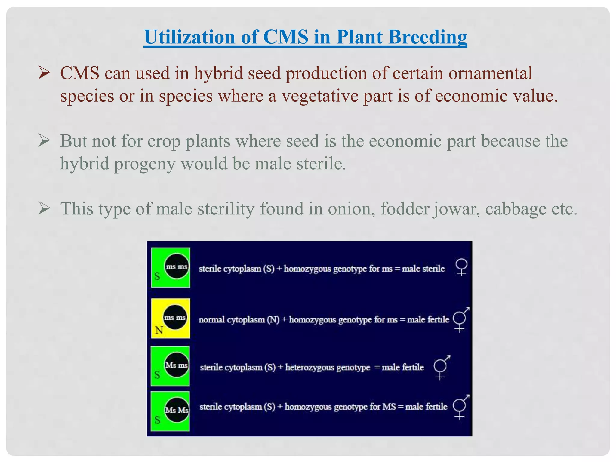  CMS can used in hybrid seed production of certain ornamental
species or in species where a vegetative part is of economic value.
 But not for crop plants where seed is the economic part because the
hybrid progeny would be male sterile.
 This type of male sterility found in onion, fodder jowar, cabbage etc.
Utilization of CMS in Plant Breeding
 
