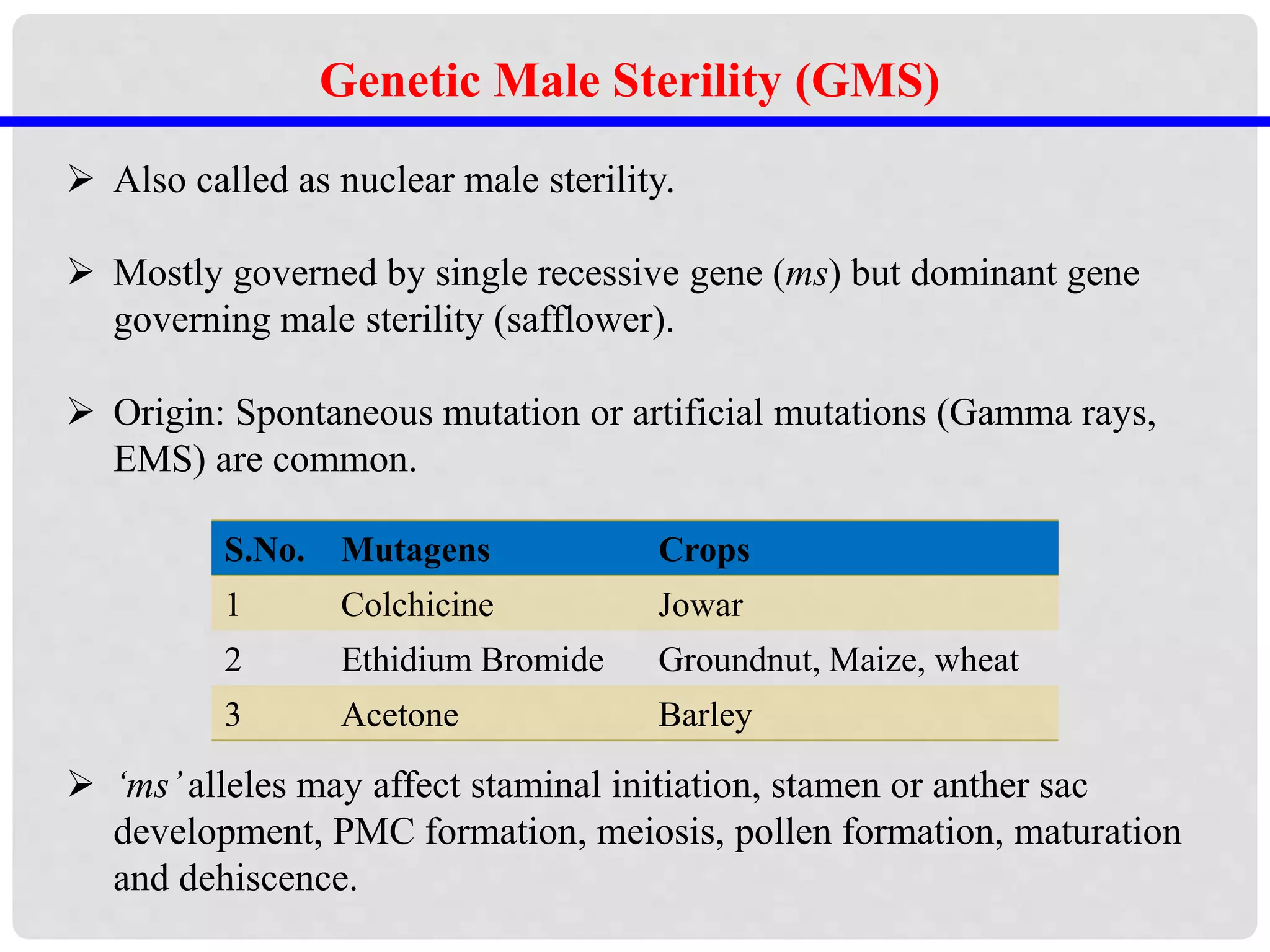 Genetic Male Sterility (GMS)
 Also called as nuclear male sterility.
 Mostly governed by single recessive gene (ms) but dominant gene
governing male sterility (safflower).
 Origin: Spontaneous mutation or artificial mutations (Gamma rays,
EMS) are common.
 ‘ms’alleles may affect staminal initiation, stamen or anther sac
development, PMC formation, meiosis, pollen formation, maturation
and dehiscence.
S.No. Mutagens Crops
1 Colchicine Jowar
2 Ethidium Bromide Groundnut, Maize, wheat
3 Acetone Barley
 
