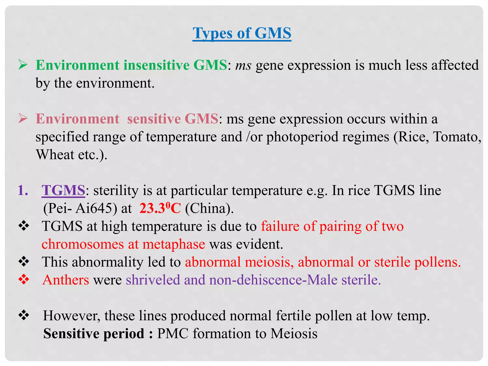 Types of GMS
 Environment insensitive GMS: ms gene expression is much less affected
by the environment.
 Environment sensitive GMS: ms gene expression occurs within a
specified range of temperature and /or photoperiod regimes (Rice, Tomato,
Wheat etc.).
1. TGMS: sterility is at particular temperature e.g. In rice TGMS line
(Pei- Ai645) at 23.30C (China).
 TGMS at high temperature is due to failure of pairing of two
chromosomes at metaphase was evident.
 This abnormality led to abnormal meiosis, abnormal or sterile pollens.
 Anthers were shriveled and non-dehiscence-Male sterile.
 However, these lines produced normal fertile pollen at low temp.
Sensitive period : PMC formation to Meiosis
 