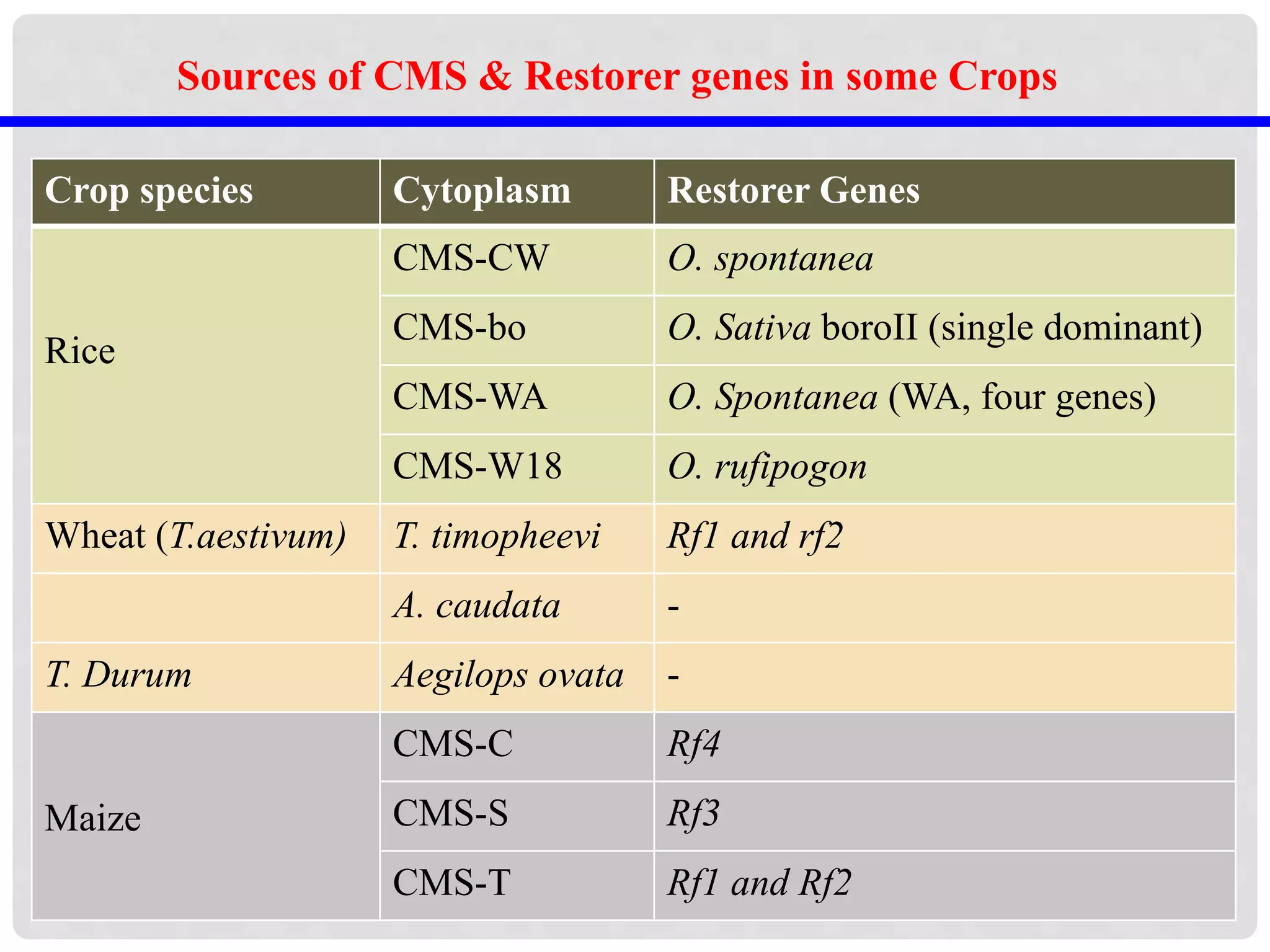 Sources of CMS & Restorer genes in some Crops
Crop species Cytoplasm Restorer Genes
Rice
CMS-CW O. spontanea
CMS-bo O. Sativa boroII (single dominant)
CMS-WA O. Spontanea (WA, four genes)
CMS-W18 O. rufipogon
Wheat (T.aestivum) T. timopheevi Rf1 and rf2
A. caudata -
T. Durum Aegilops ovata -
Maize
CMS-C Rf4
CMS-S Rf3
CMS-T Rf1 and Rf2
 