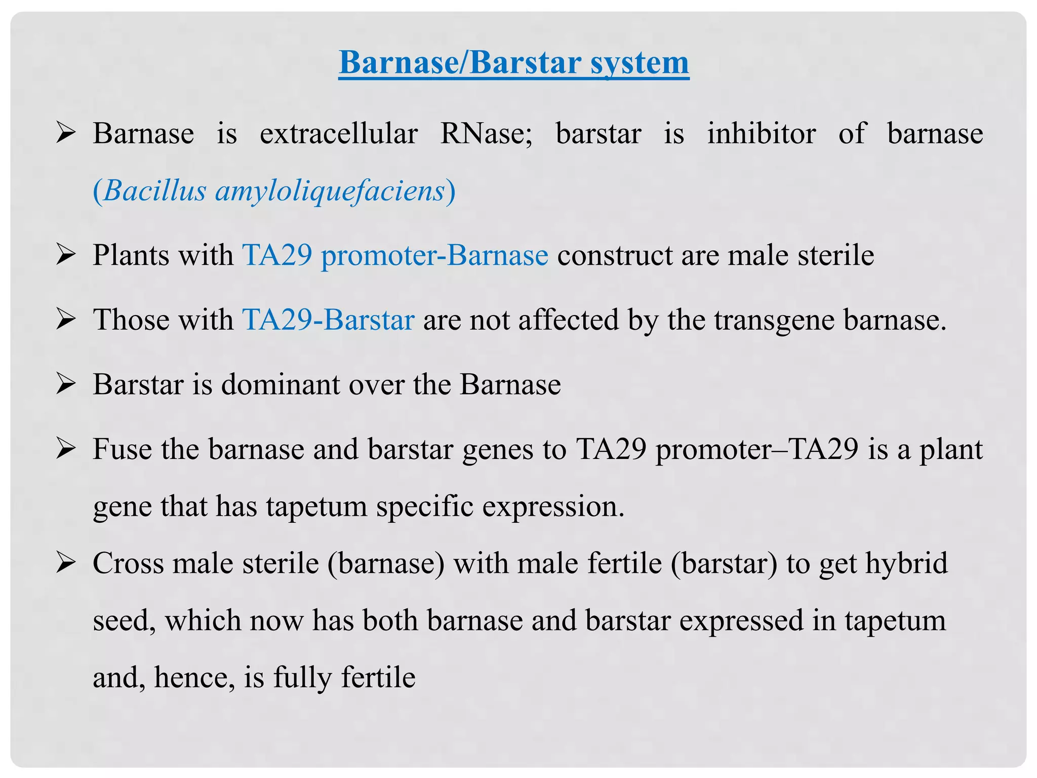 Barnase is extracellular RNase; barstar is inhibitor of barnase
(Bacillus amyloliquefaciens)
 Plants with TA29 promoter-Barnase construct are male sterile
 Those with TA29-Barstar are not affected by the transgene barnase.
 Barstar is dominant over the Barnase
 Fuse the barnase and barstar genes to TA29 promoter–TA29 is a plant
gene that has tapetum specific expression.
 Cross male sterile (barnase) with male fertile (barstar) to get hybrid
seed, which now has both barnase and barstar expressed in tapetum
and, hence, is fully fertile
Barnase/Barstar system
 