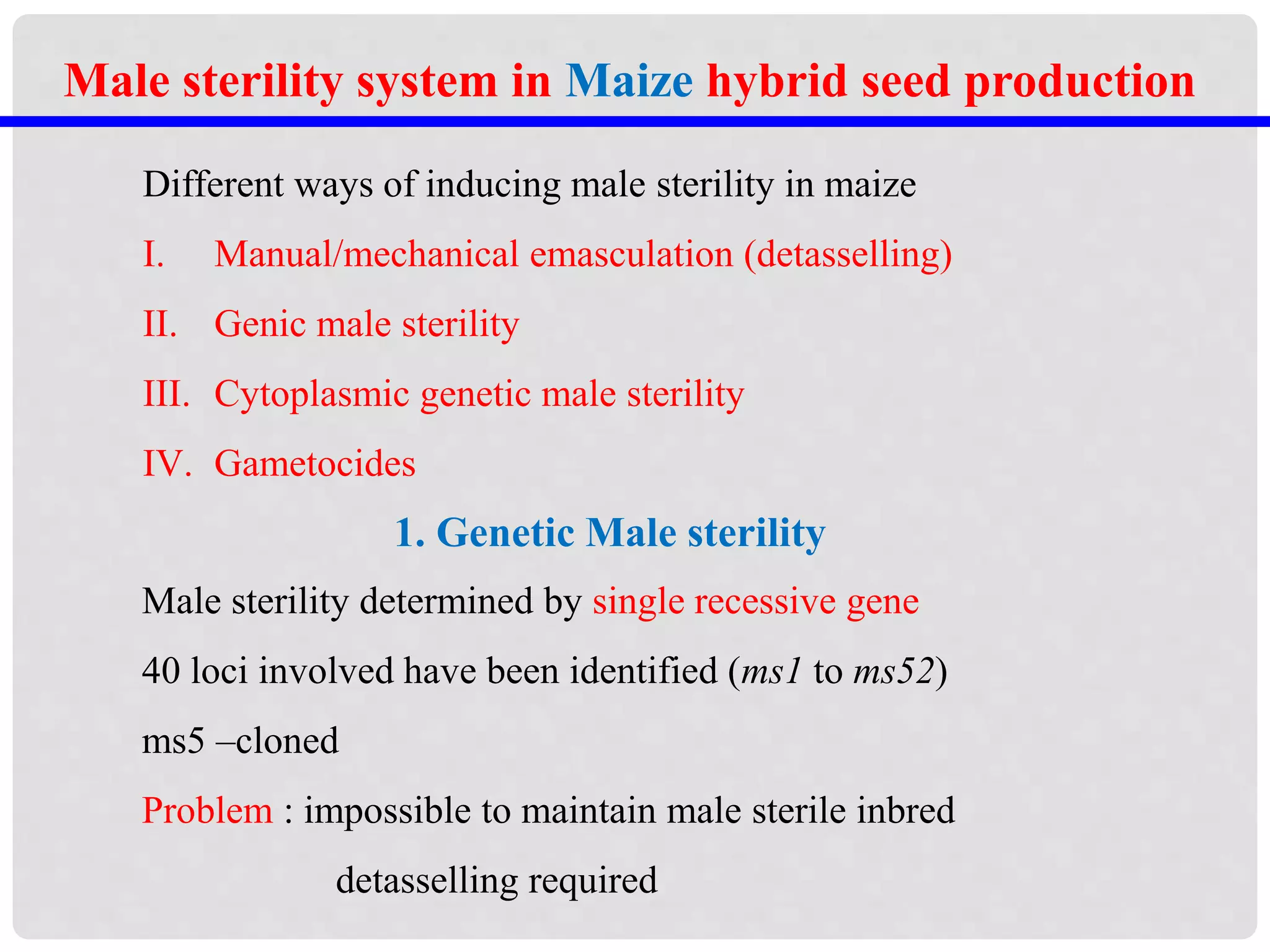 Male sterility system in Maize hybrid seed production
Different ways of inducing male sterility in maize
I. Manual/mechanical emasculation (detasselling)
II. Genic male sterility
III. Cytoplasmic genetic male sterility
IV. Gametocides
1. Genetic Male sterility
Male sterility determined by single recessive gene
40 loci involved have been identified (ms1 to ms52)
ms5 –cloned
Problem : impossible to maintain male sterile inbred
detasselling required
 