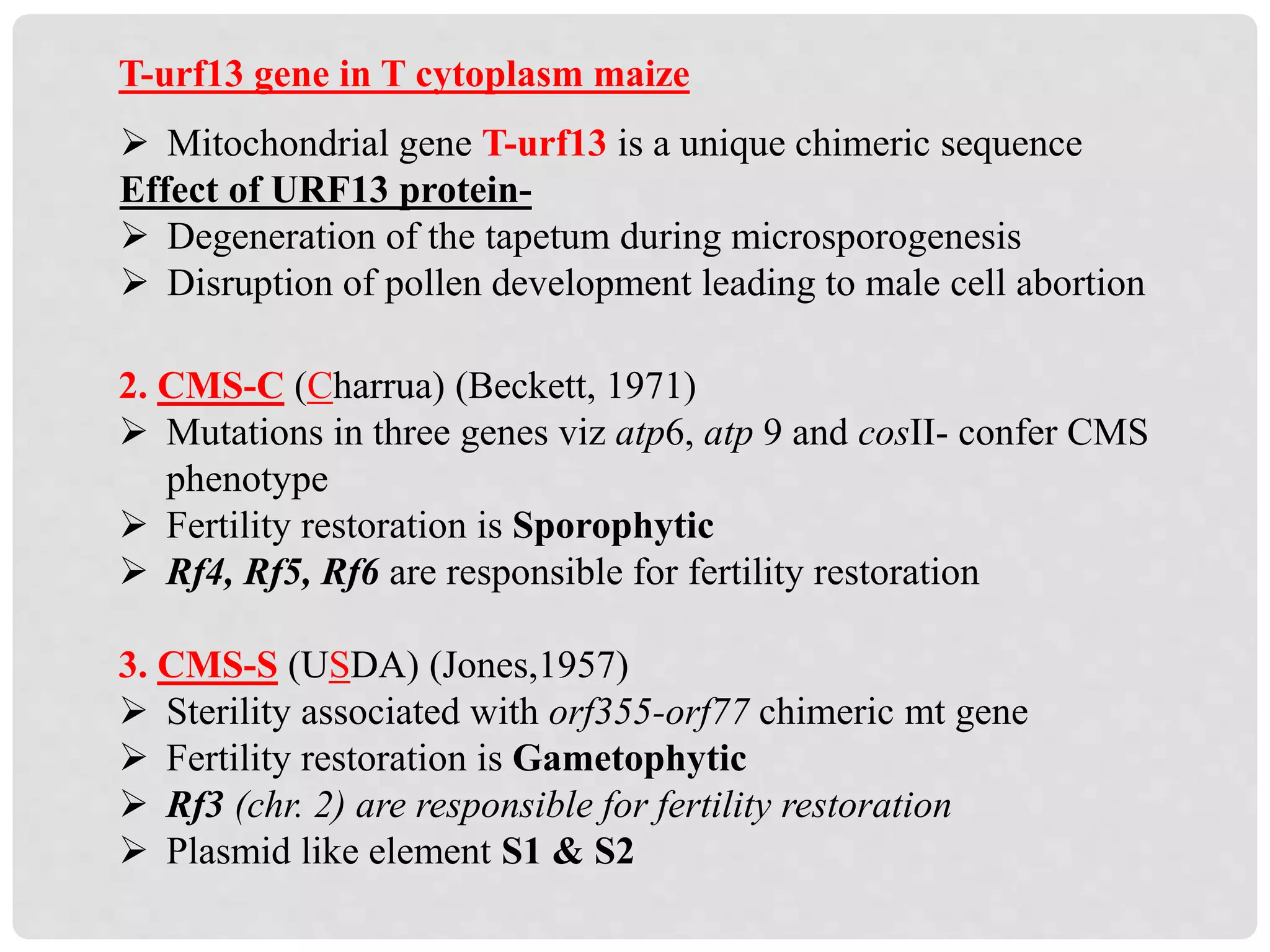 2. CMS-C (Charrua) (Beckett, 1971)
 Mutations in three genes viz atp6, atp 9 and cosII- confer CMS
phenotype
 Fertility restoration is Sporophytic
 Rf4, Rf5, Rf6 are responsible for fertility restoration
3. CMS-S (USDA) (Jones,1957)
 Sterility associated with orf355-orf77 chimeric mt gene
 Fertility restoration is Gametophytic
 Rf3 (chr. 2) are responsible for fertility restoration
 Plasmid like element S1 & S2
T-urf13 gene in T cytoplasm maize
 Mitochondrial gene T-urf13 is a unique chimeric sequence
Effect of URF13 protein-
 Degeneration of the tapetum during microsporogenesis
 Disruption of pollen development leading to male cell abortion
 