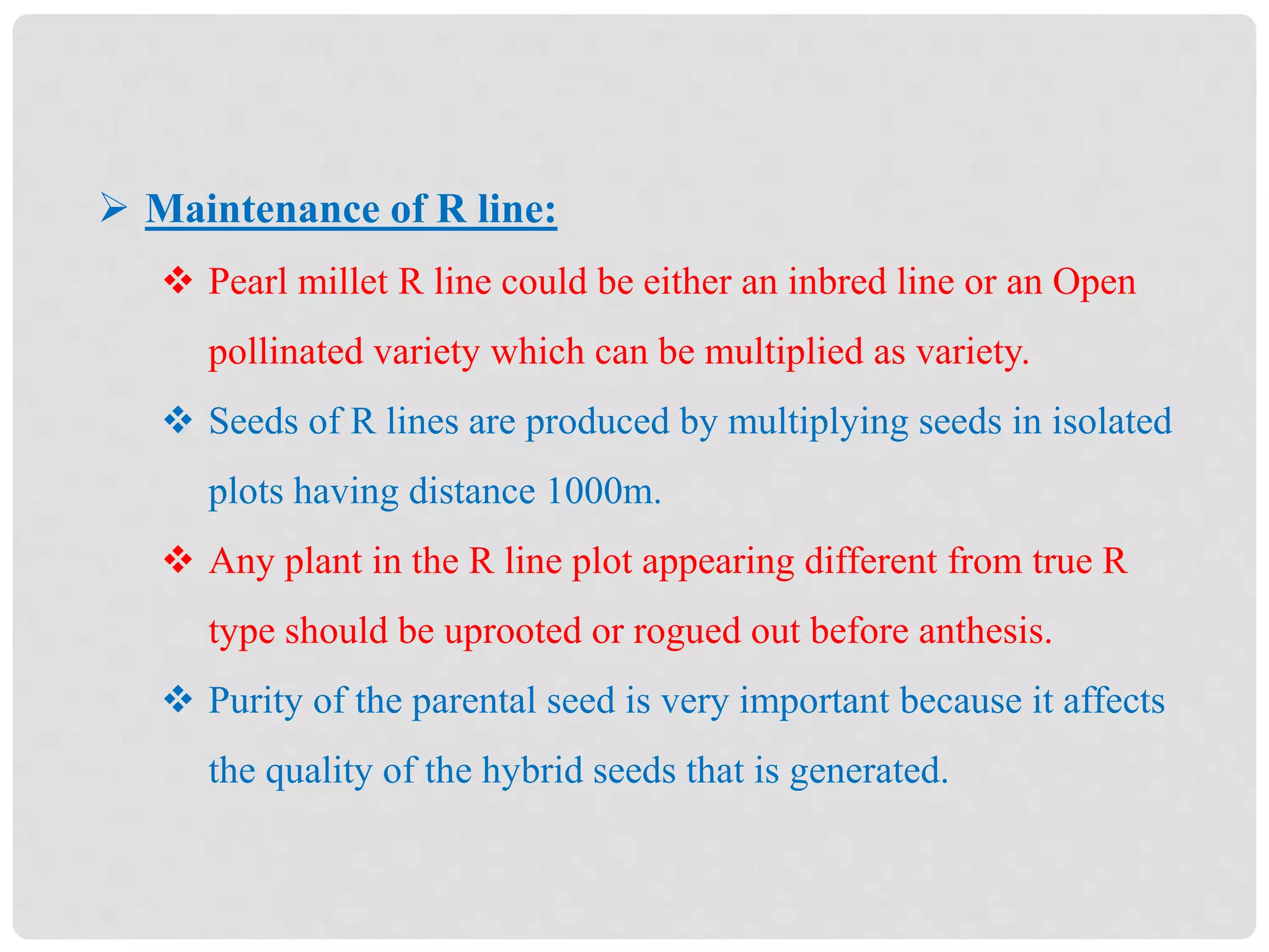  Maintenance of R line:
 Pearl millet R line could be either an inbred line or an Open
pollinated variety which can be multiplied as variety.
 Seeds of R lines are produced by multiplying seeds in isolated
plots having distance 1000m.
 Any plant in the R line plot appearing different from true R
type should be uprooted or rogued out before anthesis.
 Purity of the parental seed is very important because it affects
the quality of the hybrid seeds that is generated.
 