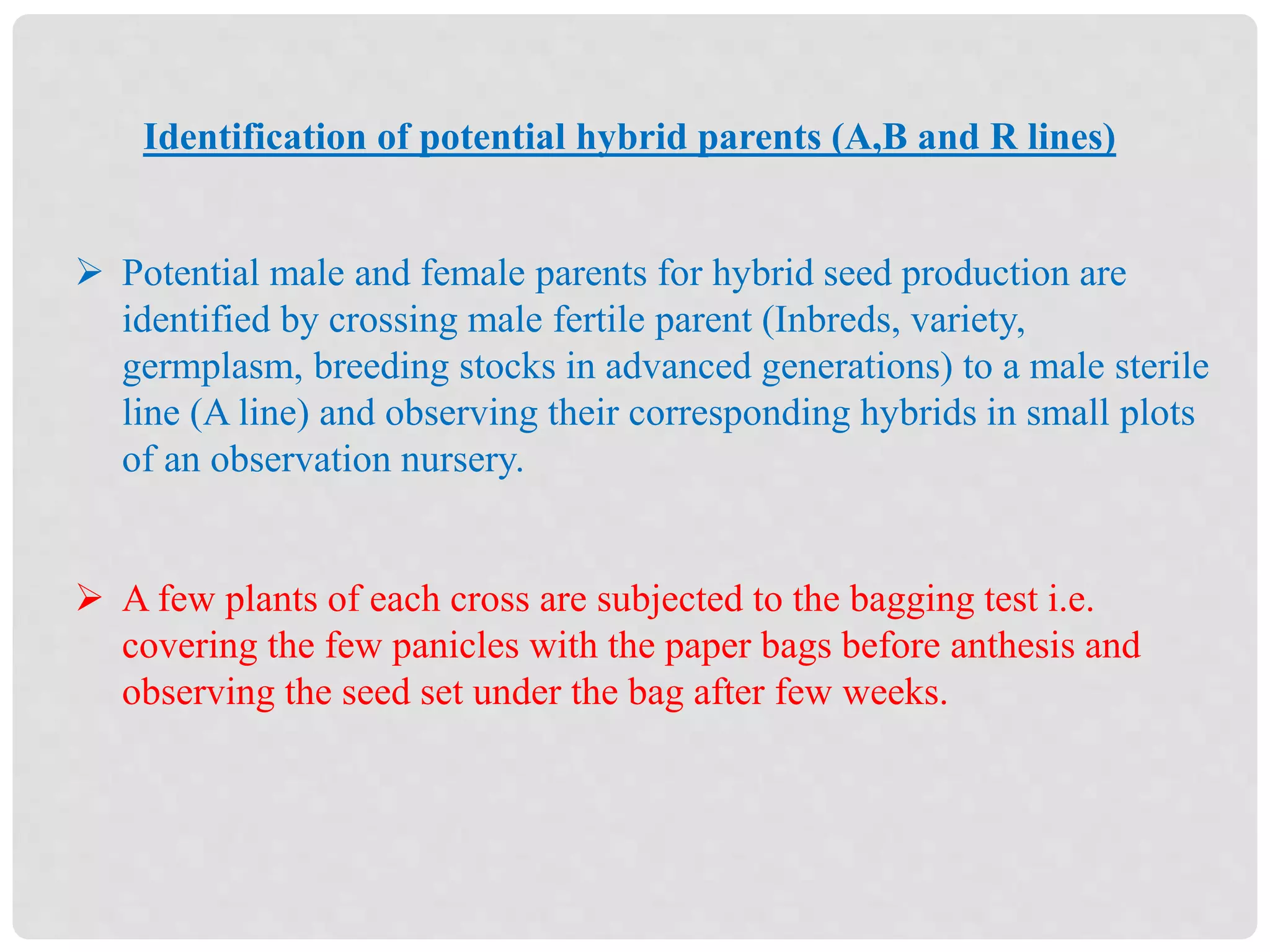 Identification of potential hybrid parents (A,B and R lines)
 Potential male and female parents for hybrid seed production are
identified by crossing male fertile parent (Inbreds, variety,
germplasm, breeding stocks in advanced generations) to a male sterile
line (A line) and observing their corresponding hybrids in small plots
of an observation nursery.
 A few plants of each cross are subjected to the bagging test i.e.
covering the few panicles with the paper bags before anthesis and
observing the seed set under the bag after few weeks.
 