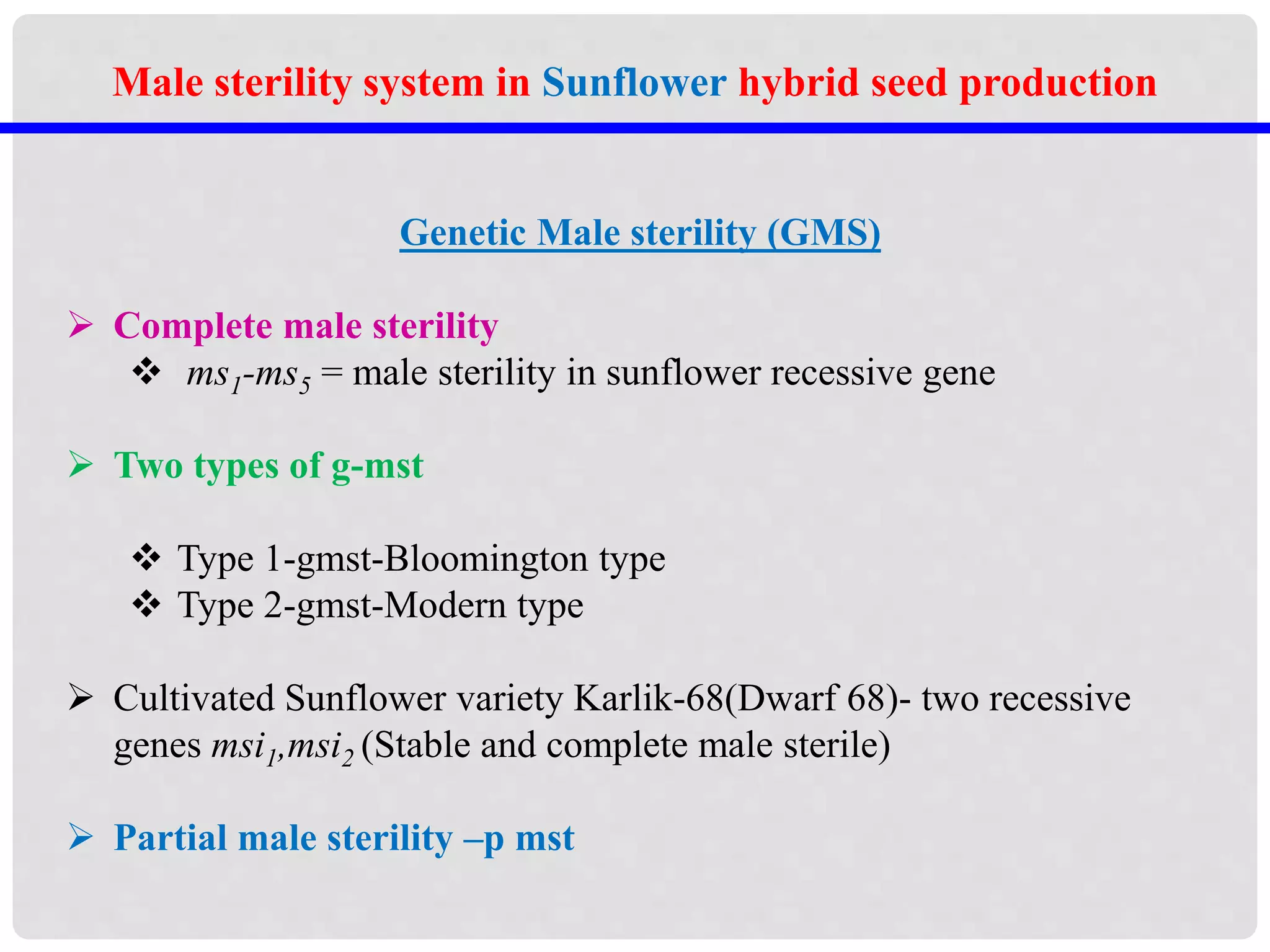 Genetic Male sterility (GMS)
 Complete male sterility
 ms1-ms5 = male sterility in sunflower recessive gene
 Two types of g-mst
 Type 1-gmst-Bloomington type
 Type 2-gmst-Modern type
 Cultivated Sunflower variety Karlik-68(Dwarf 68)- two recessive
genes msi1,msi2 (Stable and complete male sterile)
 Partial male sterility –p mst
Male sterility system in Sunflower hybrid seed production
 