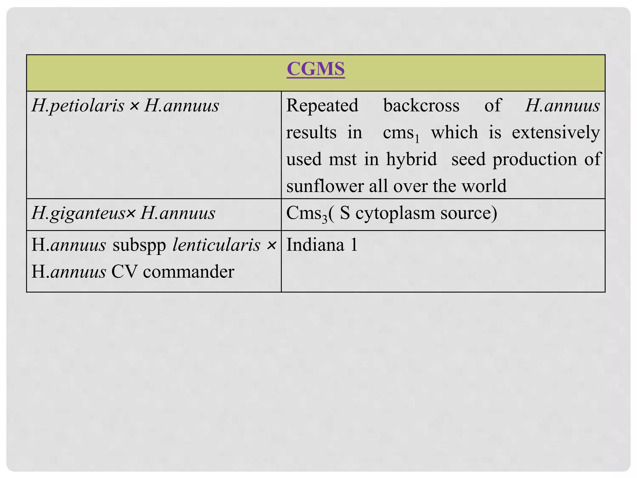 CGMS
H.petiolaris × H.annuus Repeated backcross of H.annuus
results in cms1 which is extensively
used mst in hybrid seed production of
sunflower all over the world
H.giganteus× H.annuus Cms3( S cytoplasm source)
H.annuus subspp lenticularis ×
H.annuus CV commander
Indiana 1
 