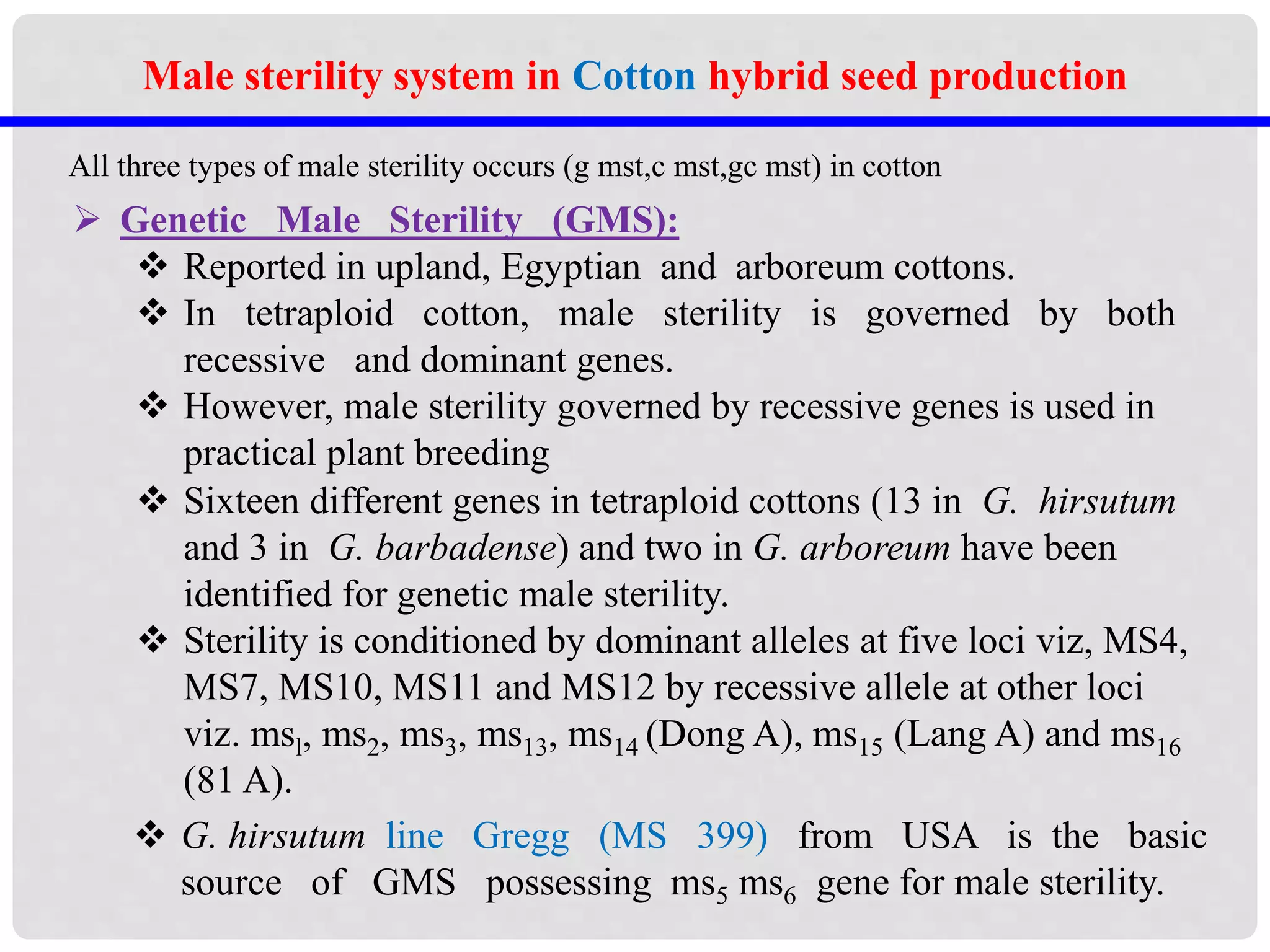 Genetic Male Sterility (GMS):
 Reported in upland, Egyptian and arboreum cottons.
 In tetraploid cotton, male sterility is governed by both
recessive and dominant genes.
 However, male sterility governed by recessive genes is used in
practical plant breeding
All three types of male sterility occurs (g mst,c mst,gc mst) in cotton
 Sixteen different genes in tetraploid cottons (13 in G. hirsutum
and 3 in G. barbadense) and two in G. arboreum have been
identified for genetic male sterility.
 Sterility is conditioned by dominant alleles at five loci viz, MS4,
MS7, MS10, MS11 and MS12 by recessive allele at other loci
viz. msl, ms2, ms3, ms13, ms14 (Dong A), ms15 (Lang A) and ms16
(81 A).
Male sterility system in Cotton hybrid seed production
 G. hirsutum line Gregg (MS 399) from USA is the basic
source of GMS possessing ms5 ms6 gene for male sterility.
 