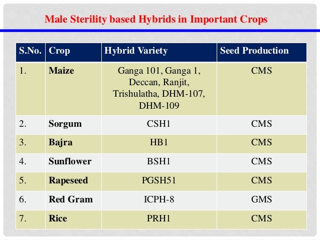 hybrid seed production in cotton pdf