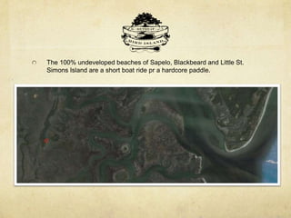 The 100% undeveloped beaches of Sapelo, Blackbeard and Little St.
Simons Island are a short boat ride pr a hardcore paddle.
 