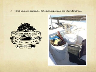 Grab your own seafood… fish, shrimp & oysters are what’s for dinner.
 