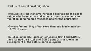 Failure of neural crest migration
Immunologic mechanism: increased expression of class II
antigens in the mucosa and submucosa-> causes fetus to
mount an immunologic response against the neuroblast
Genetic factors: May affect more than one family member
in 3-7% of cases
Deletion in the RET gene chromosome 10q11 and EDNRB
gene located on 13q22 and EDN 3 gene (major role in the
development of the enteric nervous system)
 