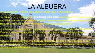La Albuera herri txiki bat da, Badajoz ondoan dago Extremaduran.
bertakoei asko gustatzen zaie Real Madrid futbol-taldea eta taberna bat daukate bere
partidoak ikusteko hor elkartzen dira.1811.urtean, maiatzaren 16an guerra handi bat
egon zen.Badajozko harresi herriko harresiaren hegoaldean 22km.
La Albueran, San Isidroko erromeria ospatzen da maiatzaren 15ean eta maiatzaren
16an, Albuerako gudaren jaia, 1811. urtean herri horretan gertatutako gudaren
oroimenez.
Naturari dagokionez, Albueran badaude, garrantzi handiko aintzira batzuk, triops
emeritensis leku horretan bizi den animali berezi bat da. Zikoina asko ikusten dira
eleizetako kanpandorreetan.
LA ALBUERA
 