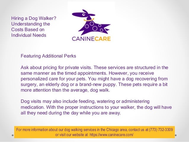 private dog walker
