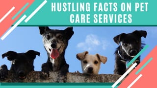 HUSTLING FACTS ON PET
CARE SERVICES
 