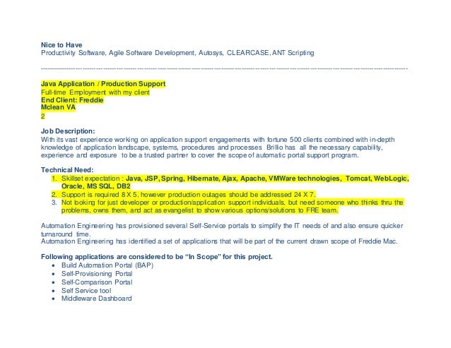 job description for application support