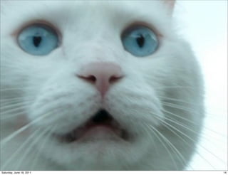 Saturday, June 18, 2011   14
 