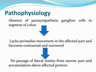 Pathophysiology
Absence of parasympathetic ganglion cells in
segment of colon
Lacks peristalsis movement in the affected part and
becomes contracted and narrowed
No passage of faecal matter from narrow part and
accumulation above affected portion
 