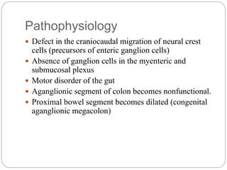 Pathophysiology
 Defect in the craniocaudal migration of neural crest
cells (precursors of enteric ganglion cells)
 Absence of ganglion cells in the myenteric and
submucosal plexus
 Motor disorder of the gut
 Aganglionic segment of colon becomes nonfunctional.
 Proximal bowel segment becomes dilated (congenital
aganglionic megacolon)
 