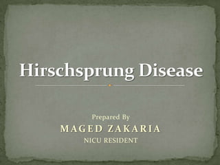 Prepared By MAGED ZAKARIA NICU RESIDENT Hirschsprung Disease 