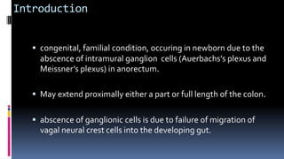  congenital, familial condition, occuring in newborn due to the
abscence of intramural ganglion cells (Auerbachs’s plexus and
Meissner’s plexus) in anorectum.
 May extend proximally either a part or full length of the colon.
 abscence of ganglionic cells is due to failure of migration of
vagal neural crest cells into the developing gut.
Introduction
 