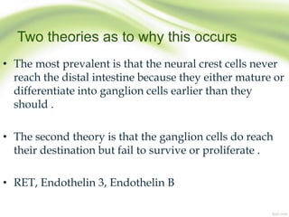 Two theories as to why this occurs
• The most prevalent is that the neural crest cells never
reach the distal intestine because they either mature or
differentiate into ganglion cells earlier than they
should .
• The second theory is that the ganglion cells do reach
their destination but fail to survive or proliferate .
• RET, Endothelin 3, Endothelin B
 