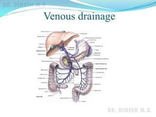 Venous drainage
 