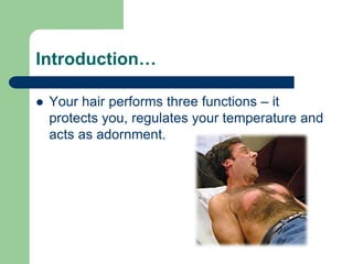 Introduction…
Your hair performs three functions – it
protects you, regulates your temperature and
acts as adornment.
