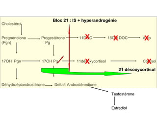 Cholestérol Pregnenolone  Progestérone  11DOC  18OH DOC  Aldo (Pgn)  Pg 17OH  Pgn  17OH Pg  11désoxycortisol  Cortisol Déhydroépiandrostérone  Delta4 Androstènedione Testostérone Estradiol Bloc 21 : IS + hyperandrogénie 21 désoxycortisol X X X X X 