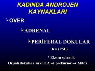 KADINDA ANDROJEN
KAYNAKLARI
OVER

ADRENAL
PERİFERAL DOKULAR
* Deri (PSU)
* Ekstra splantik
Orjinli dokular ( sirküle A → prekürsör → Aktif)

 