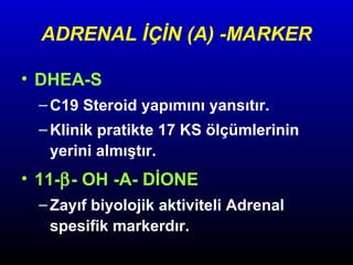 ADRENAL İÇİN (A) -MARKER
• DHEA-S
– C19 Steroid yapımını yansıtır.
– Klinik pratikte 17 KS ölçümlerinin
yerini almıştır.

• 11-β- OH -A- DİONE
– Zayıf biyolojik aktiviteli Adrenal
spesifik markerdır.

 