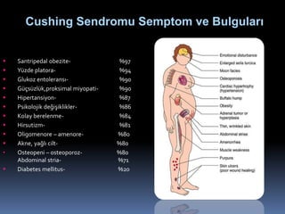  Santripedal obezite- %97
 Yüzde platora- %94
 Glukoz entoleransı- %90
 Güçsüzlük,proksimal miyopati- %90
 Hipertansiyon- %87
 Psikolojik değişiklikler- %86
 Kolay berelenme- %84
 Hirsutizm- %81
 Oligomenore – amenore- %80
 Akne, yağlı cilt- %80
• Osteopeni – osteoporoz- %80
Abdominal stria- %71
 Diabetes mellitus- %20
Cushing Sendromu Semptom ve Bulguları
 