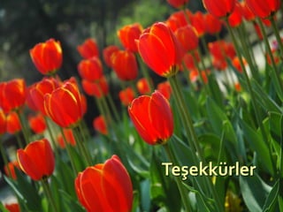 ADOPT: rosiglitazon kırık
riskini arttırır
Rosiglitazon
(n = 1456)
Metformin
(n = 1454)
Gliburid
(n = 1441)
erkek (%) 4.0 3.4 3.4
Kadın (%)
üst kstremite
alt ekstremite
kalça
omurga
9.3
3.4
5.6
0.3
0.2
5.1*
1.7
3.1†
0.3
0.2
3.5*
1.5†
1.3*
0.0
0.2
Kahn SE et al. N Engl J Med. 2006;355:2427-43.
*P < 0.01 roziglitazon; †P < 0.05 roziglitazon
Teşekkürler
 