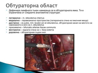    Дефинира лимфната тъкан намираща се в обтураторната ямка. Тя е
    ограничена от следните анатомични структури:

   латерално – m. obturatorius internus
   медиално – паравезикално пространство (латералната стена на пикочния мехур)
   дистално – os pubis, mm. levator ani et obturatorius, обтураторния канал на мястото на
    навлизането в него на n. obturatorius
   проксимално – bifurcatio arteriae iliacae communis
   вентрално – задната стена на v. iliaca externa
   дорзално – обтураторния съдов сноп
 