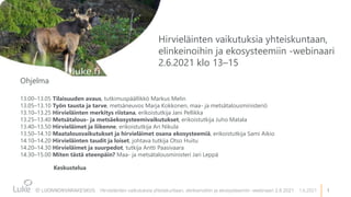 1
Hirvieläinten vaikutuksia yhteiskuntaan, elinkeinoihin ja ekosysteemiin -webinaari 2.6.2021 1.6.2021
Ohjelma
13.00–13.05 Tilaisuuden avaus, tutkimuspäällikkö Markus Melin
13.05–13.10 Työn tausta ja tarve, metsäneuvos Marja Kokkonen, maa- ja metsätalousministeriö
13.10–13.25 Hirvieläinten merkitys riistana, erikoistutkija Jani Pellikka
13.25–13.40 Metsätalous- ja metsäekosysteemivaikutukset, erikoistutkija Juho Matala
13.40–13.50 Hirvieläimet ja liikenne, erikoistutkija Ari Nikula
13.50–14.10 Maatalousvaikutukset ja hirvieläimet osana ekosysteemiä, erikoistutkija Sami Aikio
14.10–14.20 Hirvieläinten taudit ja loiset, johtava tutkija Otso Huitu
14.20–14.30 Hirvieläimet ja suurpedot, tutkija Antti Paasivaara
14.30–15.00 Miten tästä eteenpäin? Maa- ja metsätalousministeri Jari Leppä
Keskustelua
Hirvieläinten vaikutuksia yhteiskuntaan,
elinkeinoihin ja ekosysteemiin -webinaari
2.6.2021 klo 13–15
 