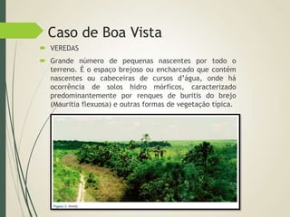 Caso de Boa Vista
 VEREDAS
 Grande número de pequenas nascentes por todo o
terreno. É o espaço brejoso ou encharcado que contém
nascentes ou cabeceiras de cursos d’água, onde há
ocorrência de solos hidro mórficos, caracterizado
predominantemente por renques de buritis do brejo
(Mauritia flexuosa) e outras formas de vegetação típica.
 