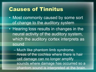 Causes of Tinnitus
• Most commonly caused by some sort
of change to the auditory system
• Hearing loss results in changes in the
neural activity of the auditory system,
which the auditory cortex interprets as
sound
– Much like phantom limb syndrome.
Areas of the cochlea where there is hair
cell damage can no longer amplify
sounds where damage has occurred so a
phantom sound is interpreted at the brain.
 
