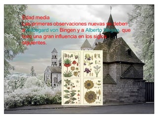 Edad media Las primeras observaciones nuevas se deben a  Hildegard   von   Bingen  y a  Alberto Magno , que tuvo una gran influencia en los siglos siguientes. 
