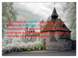 El concepto de  vegetal , que estaba claro en tiempos de  Aristóteles , ha quedado desdibujado por el avance del conocimiento, llegándose a definir como  todo aquello que es objeto de estudio de la Botánica .   