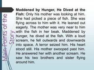 Maddened by Hunger, He Dived at the
Fish: Only his mother was looking at him.
She had picked a piece of fish. She was
flying across to him with it. He leaned out
eagerly. The mother was very near to him
with the fish in her beak. Maddened by
hunger, he dived at the fish. With a loud
scream, he fell outwards and downwards
into space. A terror seized him. His heart
stood still. His mother swooped past him.
He answered her with another scream. He
saw his two brothers and sister flying
around him.
 