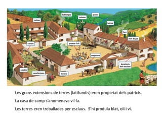 Les grans extensions de terres (latifundis) eren propietat dels patricis. La casa de camp s’anomenava vil·la.  Les terres eren treballades per esclaus.  S’hi produïa blat, oli i vi.