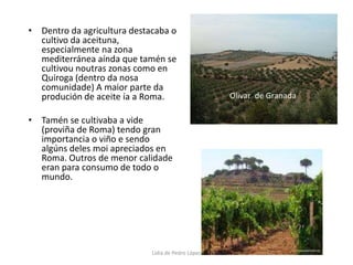 Dentro da agricultura destacaba o cultivo da aceituna, especialmente na zona mediterránea aínda que tamén se cultivou noutras zonas como en Quiroga (dentro da nosa comunidade) A maior parte da produción de aceite ía a Roma. Tamén se cultivaba a vide (proviña de Roma) tendo gran importancia o viño e sendo algúns deles moi apreciados en Roma. Outros de menor calidade eran para consumo de todo o mundo.Olivar  de GranadaLidia de Pedro López