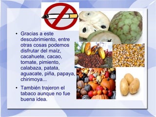 ●

●

Gracias a este
descubrimiento, entre
otras cosas podemos
disfrutar del maíz,
cacahuete, cacao,
tomate, pimiento,
calabaza, patata,
aguacate, piña, papaya,
chirimoya...
También trajeron el
tabaco aunque no fue
buena idea.

 