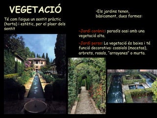 VEGETACIÓ  Té com l’aigua un sentit pràctic (horta) i estètic, per el plaer dels sentit Jardí corànic : paradís oasi amb una vegetació alta. Jardí persa : La vegetació és baixa i té funció decorativa: cossiols (macetas), arbrets, rosals, “arrayanes” o murta.   Els jardins tenen, bàsicament, dues formes: 