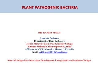 PLANT PATHOGENIC BACTERIA
DR. RAJBIR SINGH
Associate Professor
Department of Plant Pathology
Gochar Mahavidyalaya (Post Graduate College)
Rampur Maiharan, Saharanpur (UP), India
Affiliated to: CCS University, Meerut (UP), India
Email: rajbirsingh2810@gmail.com
Note: All images have been taken form internet. I am grateful to all author of images.
 