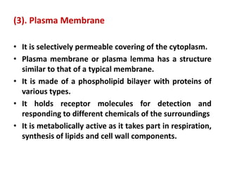 Hisplantpathogenicbacteria-200610085215.pdf