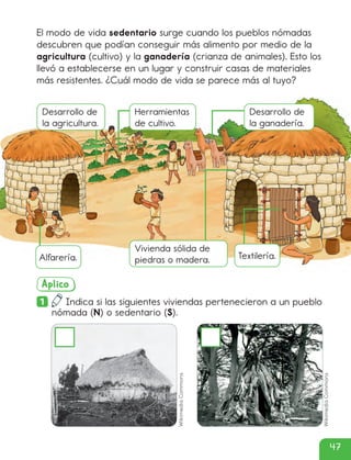 El modo de vida sedentario surge cuando los pueblos nómadas
descubren que podían conseguir más alimento por medio de la
agricultura (cultivo) y la ganadería (crianza de animales). Esto los
llevó a establecerse en un lugar y construir casas de materiales
más resistentes. ¿Cuál modo de vida se parece más al tuyo?
Aplico
1 Indica si las siguientes viviendas pertenecieron a un pueblo
nómada (N) o sedentario (S).
Desarrollo de
la agricultura.
Herramientas
de cultivo.
Desarrollo de
la ganadería.
Textilería.
Alfarería.
Vivienda sólida de
piedras o madera.
Wikimedia
Commons
Wikimedia
Commons
47
cl215937_texto_040-061_ud02_l01.indd 47
cl215937_texto_040-061_ud02_l01.indd 47 22-12-23 14:14
22-12-23 14:14
 