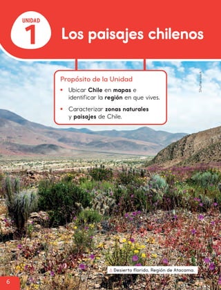 1
UNIDAD
Desierto florido, Región de Atacama.
Shutterstock
Propósito de la Unidad
• Ubicar Chile en mapas e
identificar la región en que vives.
• Caracterizar zonas naturales
y paisajes de Chile.
6
Los paisajes chilenos
cl215937_texto_006-019_ud01_l01.indd 6
cl215937_texto_006-019_ud01_l01.indd 6 22-12-23 16:03
22-12-23 16:03
 
